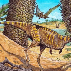 Pesquisadores de Mafra ajudam a descobrir novo dinossauro brasileiro