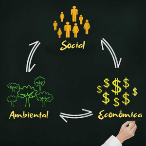 Afinal, qual o verdadeiro significado de sustentabilidade?