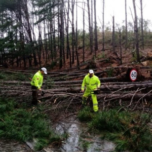 Equipes atuam para minimizar danos do temporal na região