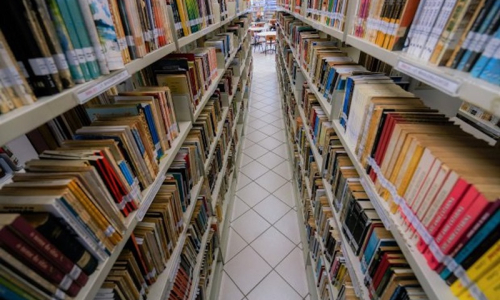 SC abre seleção para bibliotecários, psicólogos, assistentes sociais e nutricionistas