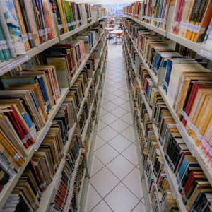 SC abre seleção para bibliotecários, psicólogos, assistentes sociais e nutricionistas