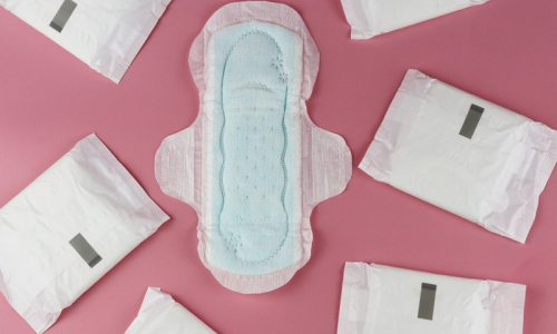 Projeto que garante distribuição gratuita de absorventes é protocolado na Alesc