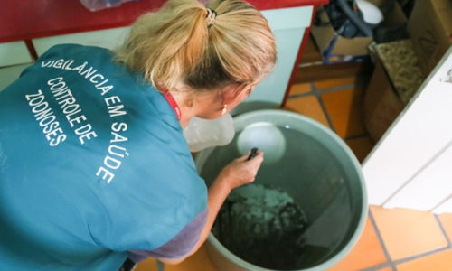 Santa Catarina registra recorde histórico de casos de dengue