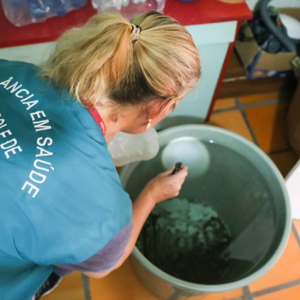 Santa Catarina registra recorde histórico de casos de dengue