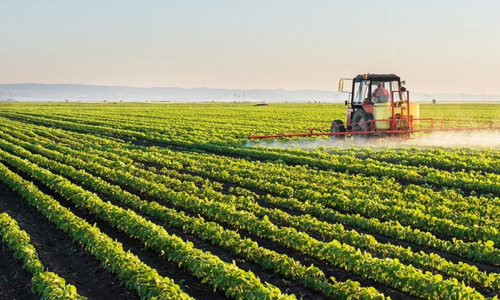 O balanço dos investimentos públicos no agronegócio de SC
