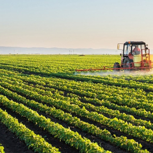 O balanço dos investimentos públicos no agronegócio de SC