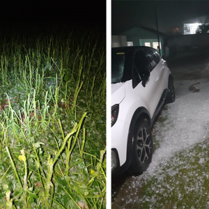 Temporal com granizo atinge vários bairros e deixa 700 unidades sem energia em Mafra