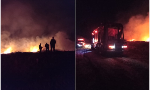 Incêndio atinge área de vegetação no interior de Mafra