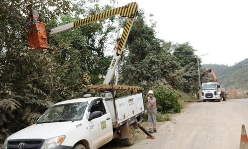 Celesc alerta para riscos com vegetação próxima à rede elétrica