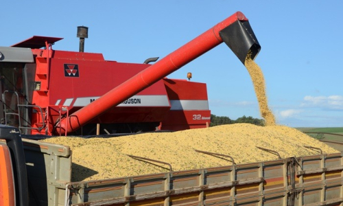 Agronegócio responde por 72% das exportações catarinenses no primeiro semestre de 2020