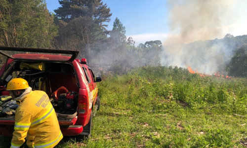 Focos de incêndio atingem área de vegetação no interior de Mafra