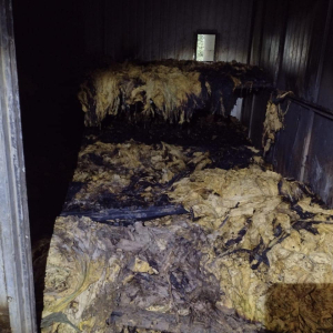 Princípio de incêndio atinge estufa de fumo no interior de Itaiópolis