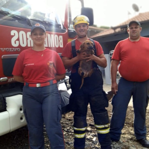 Cachorro é resgatado após ficar preso em tubulação na Vila Nova