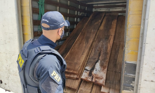 Carga ilegal de madeira nativa é apreendida pela PRF em Mafra