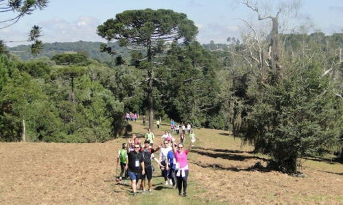 Rio Negro terá Caminhada na Natureza neste domingo