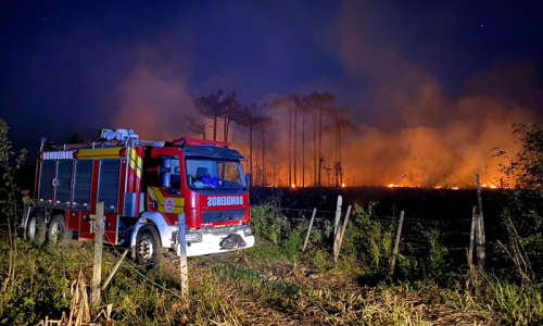 Incêndio atinge área de reflorestamento no interior de Mafra