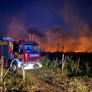 Incêndio atinge área de reflorestamento no interior de Mafra