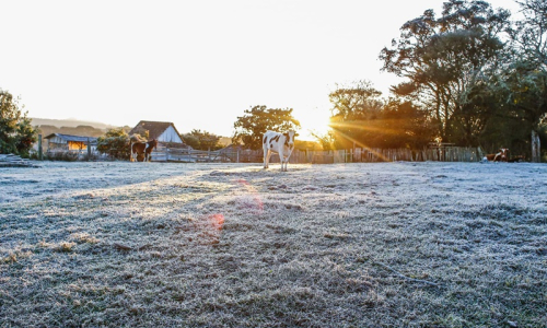 Onda de frio se aproxima a partir da próxima semana em SC
