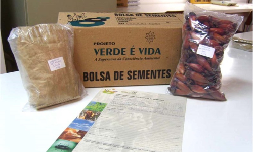 Projeto da Afubra coleta 22 mil quilos de sementes em 20 anos de atividade