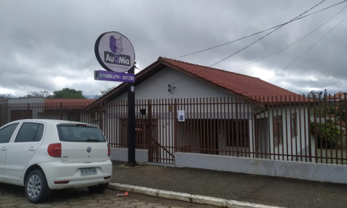 AuQMia: clínica veterinária é a primeira de Rio Negro com atendimento 24 horas
