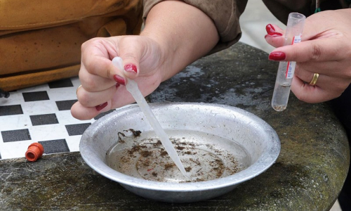 Paraná registra mais 10 óbitos por dengue e Saúde alerta para combate à doença