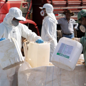 Prefeitura realiza coleta de embalagens vazias de agrotóxicos em Mafra