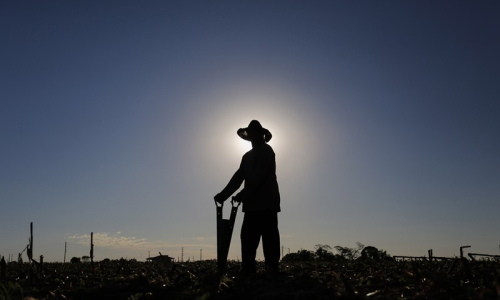 Produtor rural pode gerar nota eletrônica pelo aplicativo Nota Fiscal Fácil