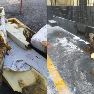 Em menos de um mês, presídio registra segunda rebelião em Mafra