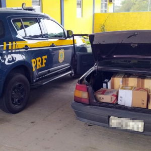Carga de vinhos importada irregularmente é apreendida na BR-280, em Mafra