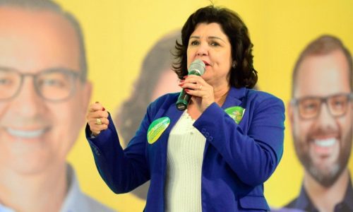 Entrevista: "Não serei vice decorativa, terei participação ativa no combate ao crime", afirma Marilisa Boehm