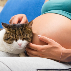 Saúde alerta sobre riscos de toxoplasmose na gravidez