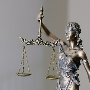 Acesso à justiça e a função social do processo judicial