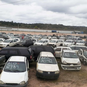 Paraná lança novo leilão com mais de 300 veículos e sucatas