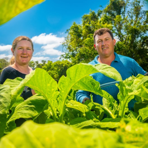 Produtor rural reafirma orgulho pela produção de tabaco