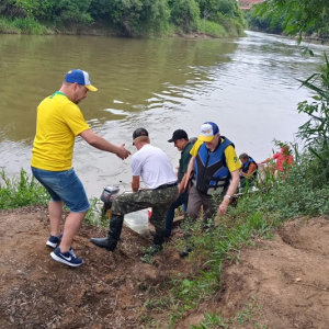 Entidades e voluntários soltam centenas de peixes no rio Negro