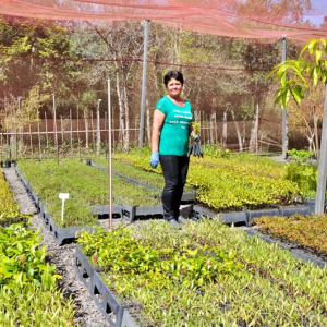 Viveiro municipal de Rio Negro disponibiliza mudas de plantas para a população