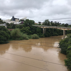 Nível do rio Negro sobe mais de 3 metros nas últimas 48 horas