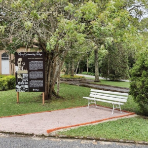 Jardim em homenagem à Aracy Guimarães Rosa será inaugurado em Rio Negro