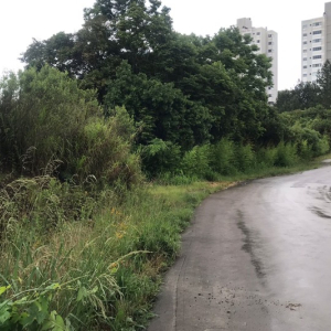 Justiça obriga prefeitura de Mafra a construir calçadas na rua José Cassias Pereira