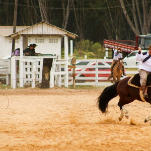 Rionegrenses se classificam para torneio estadual de rodeios do Paraná