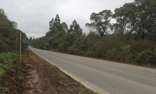 SC lança licitação para projeto de restauração da SC-477