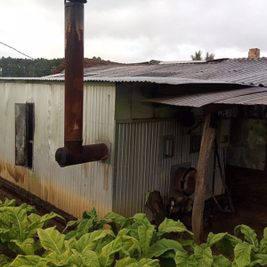 Estufa de secagem de fumo pega fogo no interior de Itaiópolis