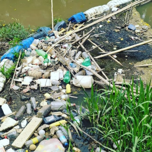 Ecobarreira Riomafra: projeto retira 161 quilos de lixo do rio da Lança em 2022