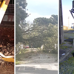 Raio, urubu, queda de árvore e acidente de trânsito deixaram a região sem energia
