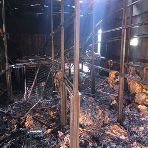 Duas toneladas de tabaco são destruídas durante incêndio em estufa de secagem