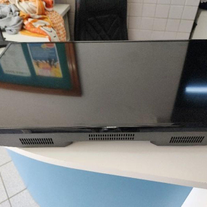 Em plena luz do dia, homens são flagrados carregando TV furtada