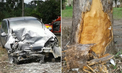 Motorista colide carro contra árvore na BR-280, em Mafra