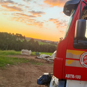 Vaca atolada em córrego é resgatada pelo Corpo de Bombeiros