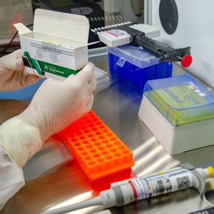 Covid-19: Anvisa autoriza testes para nova vacina da Johnson & Johnson