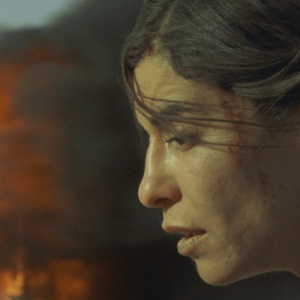 Incêndios (2010)